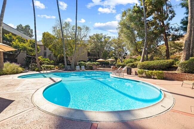 Primary Photo - 6314 Friars Rd