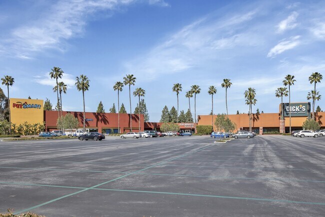 Building Photo - Live in Luxury: Fully Upgraded 2 Bedroom P...