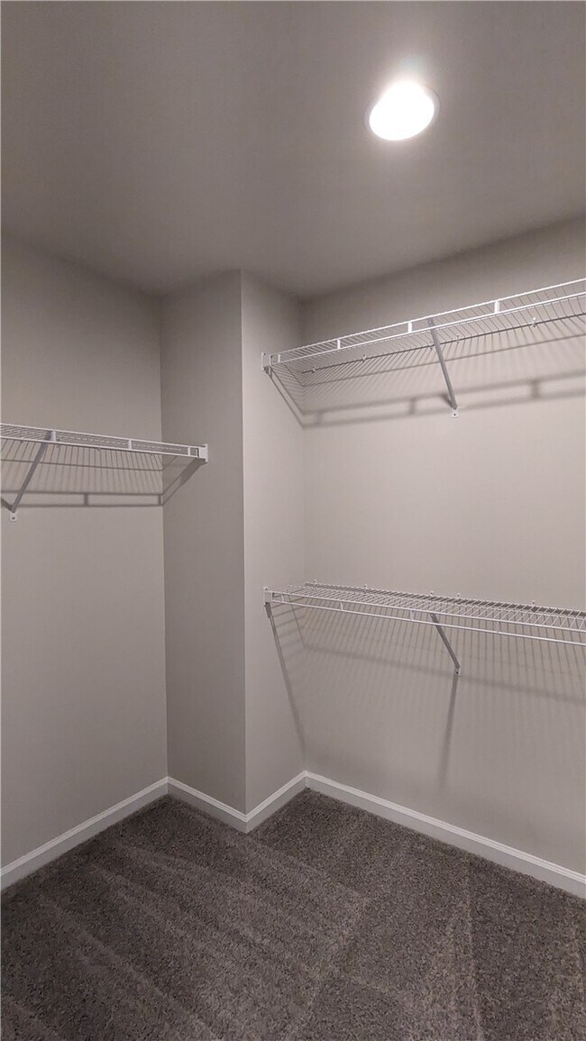 Building Photo - 249 Carvel Trl