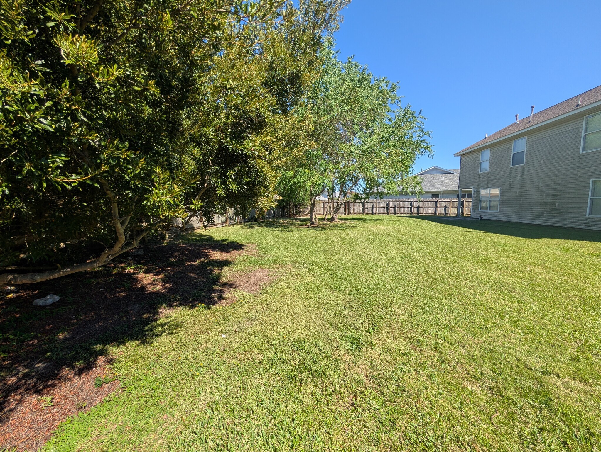 backyard - 2011 Dylan Dr