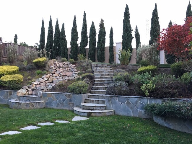 Building Photo - 3342 Park Ridge Dr