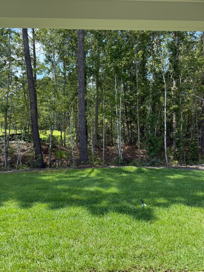 Building Photo - 119 Barefoot Dr