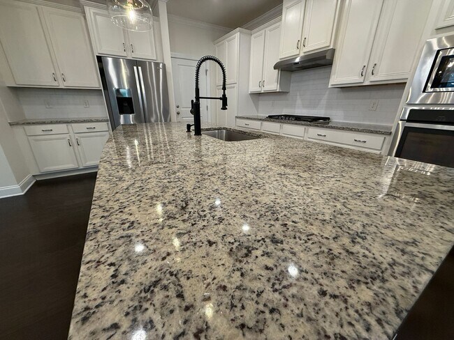 Building Photo - Ballantyne Home in great Location With Sun...