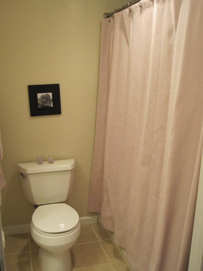 Basement full bath with shower and tub - 8666 Rosalie Ave