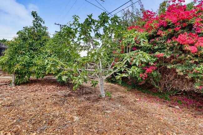 Building Photo - Beautifully Maintained Home in La Mesa — 3 Bed / 2 Bath | 1,600 Sq Ft
