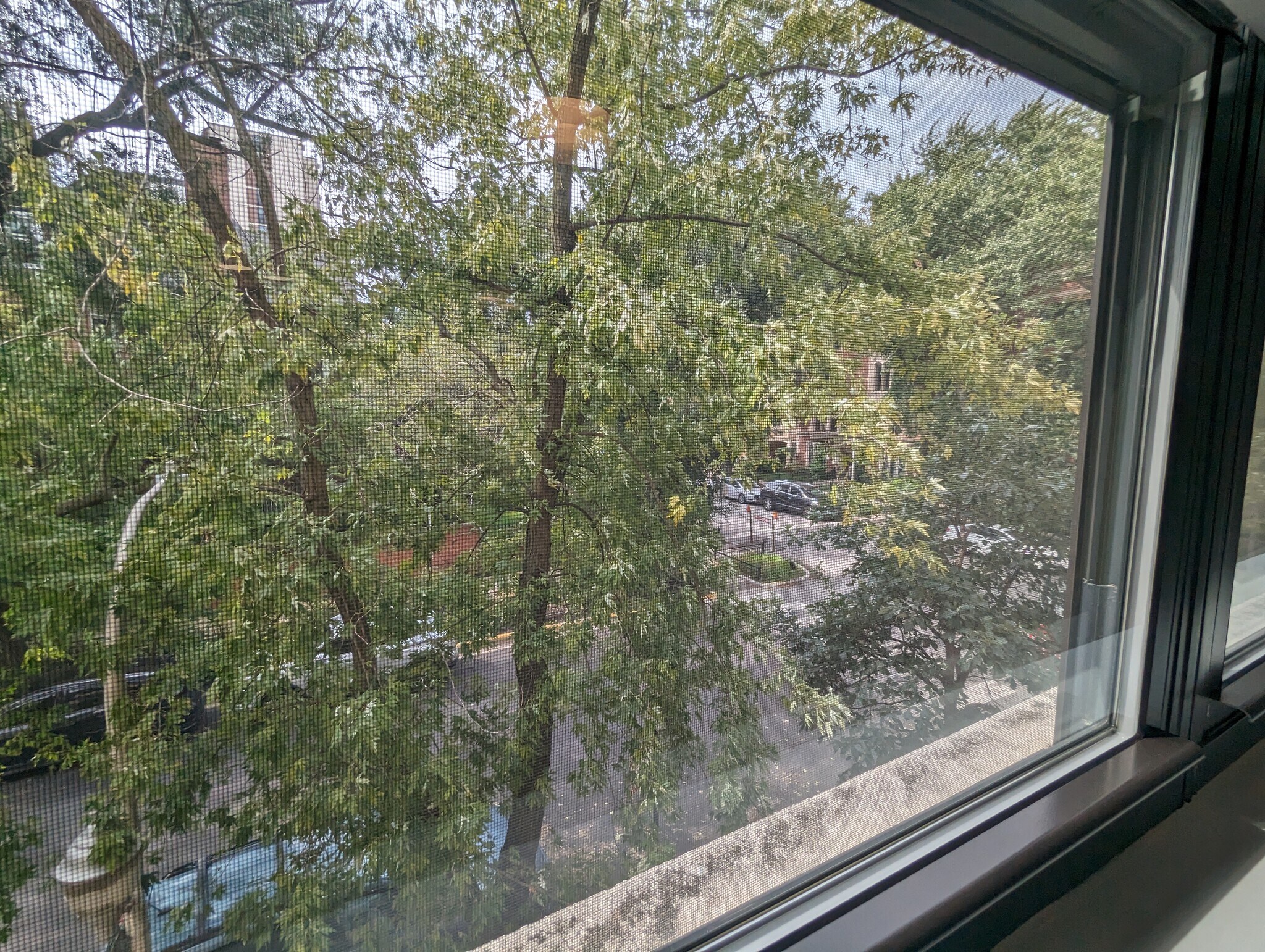 Building Photo - 456 W Barry Ave