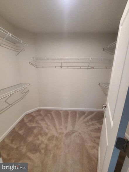 Building Photo - 1006 Valley Run Dr