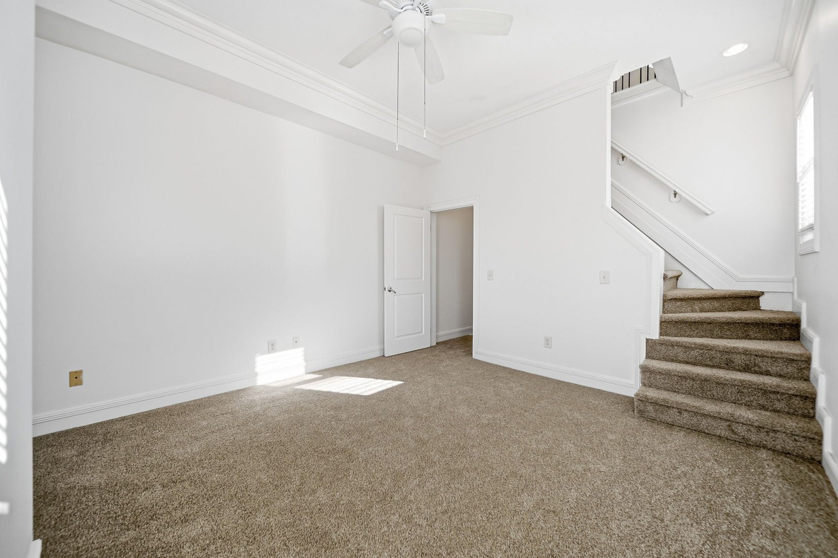 Building Photo - 1153 Jaeger St