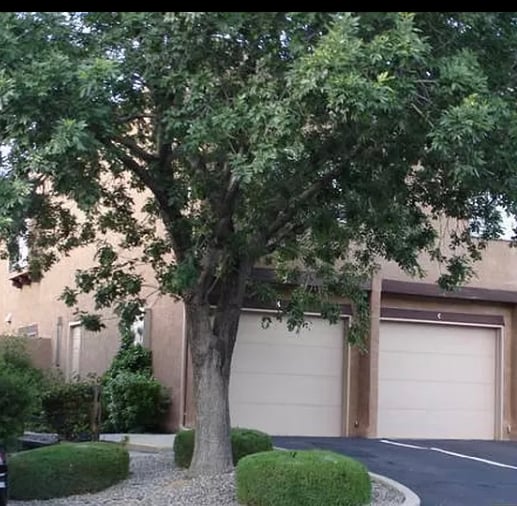 Building Photo - 5801 Lowell St NE