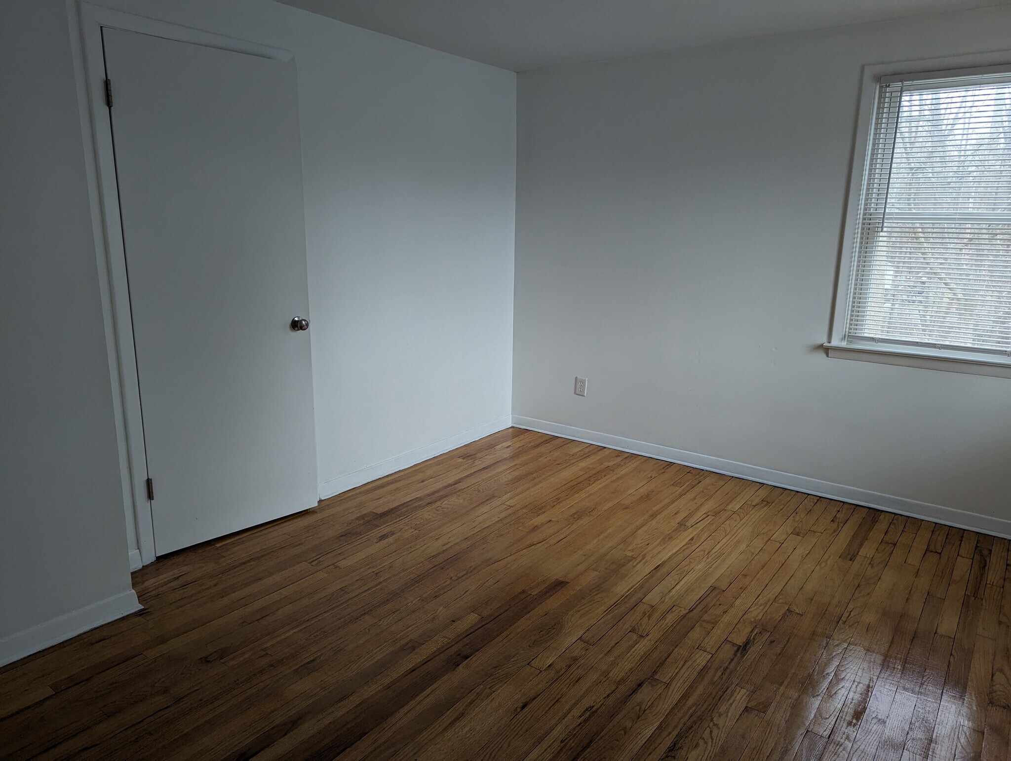 Building Photo - 87 Antrim St