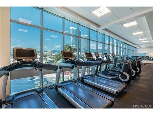 Primary Photo - Waihonua - Luxury 1 Bedroom, 1-Bath, 1-par...