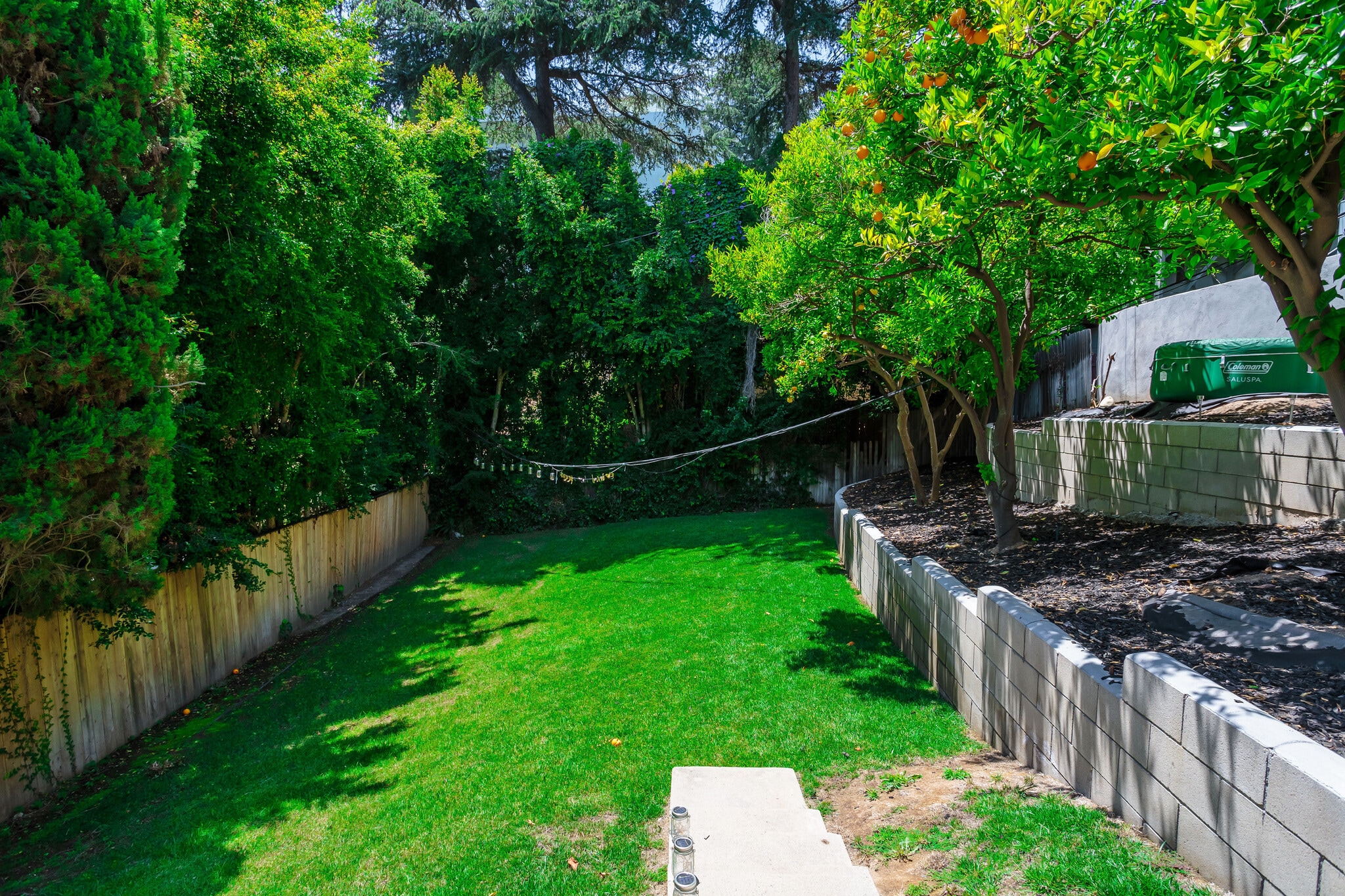 Back Yard - 1724 Rotary Dr