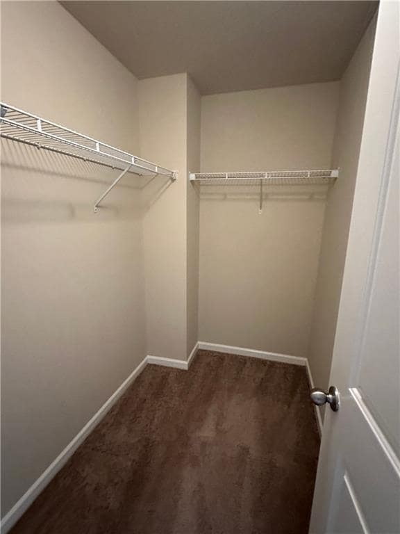 Building Photo - 3337 Blue Springs Walk