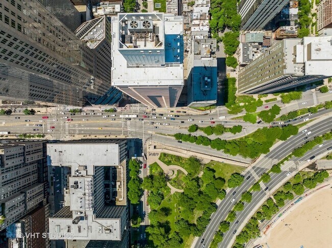 Building Photo - 1000 N Lake Shore Dr