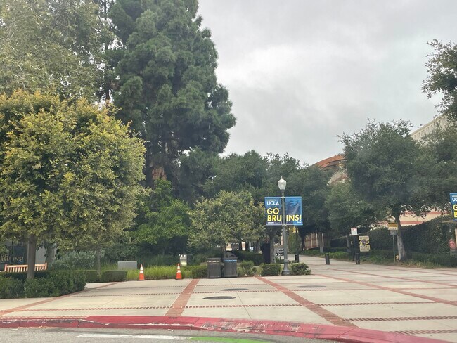 UCLA campus - 2935 Westwood Blvd