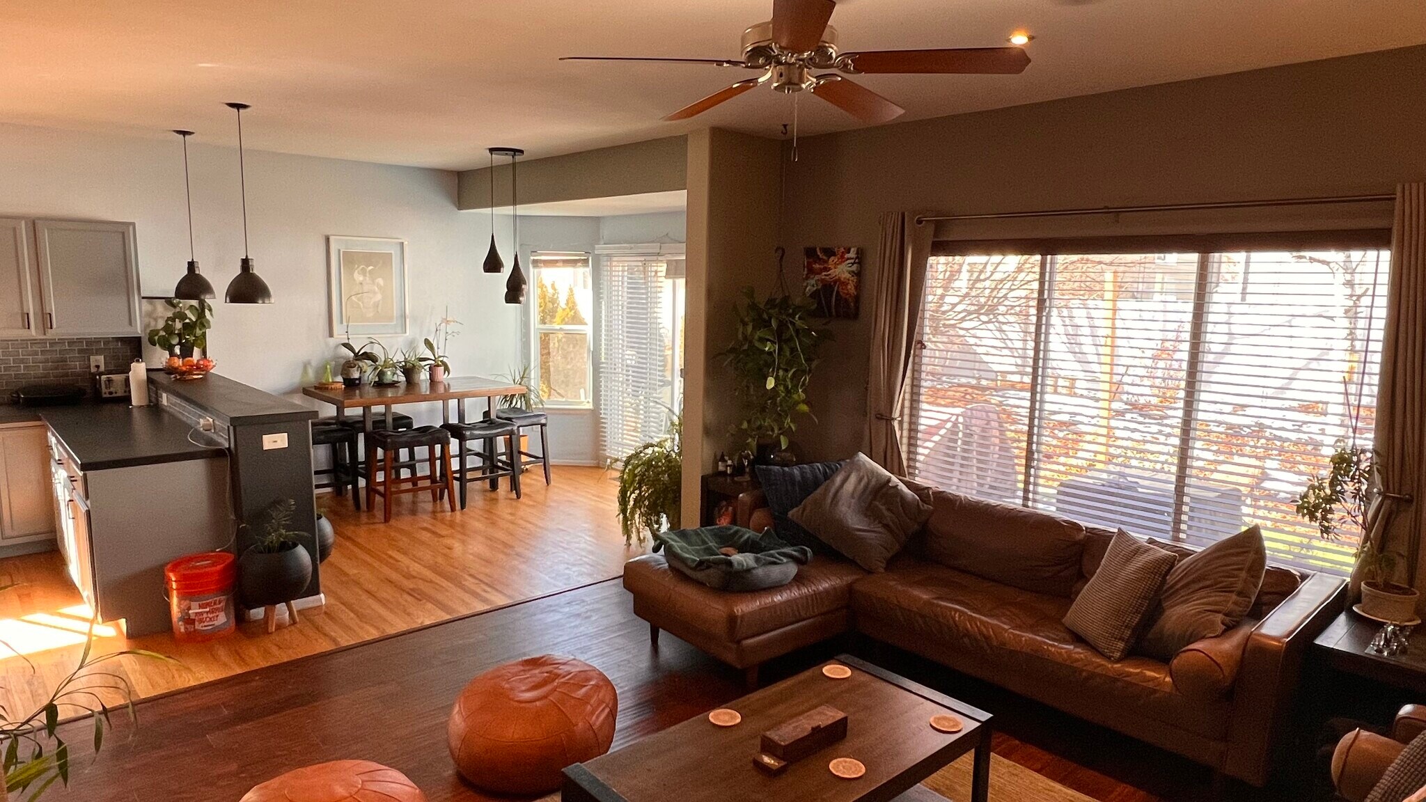 Living room - 2633 Clarion Ln