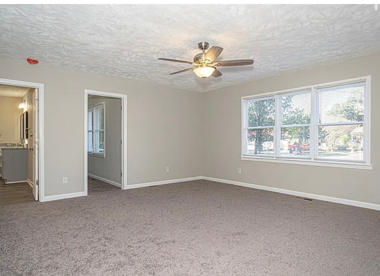 Building Photo - 5105 Palmetto Ln