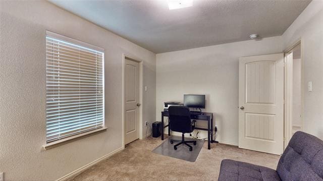 Building Photo - 8657 Star Thistle Dr