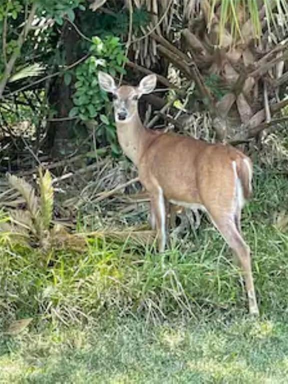 Building Photo - 41 Cochise Ct