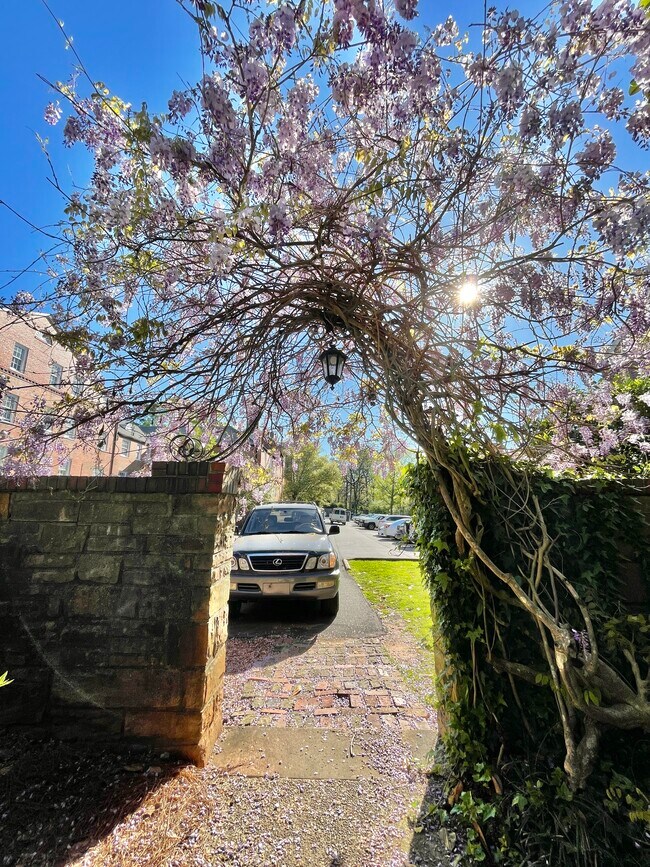 Cut-through to middle parking lot (Next to office) - 2853 Thornhill Rd