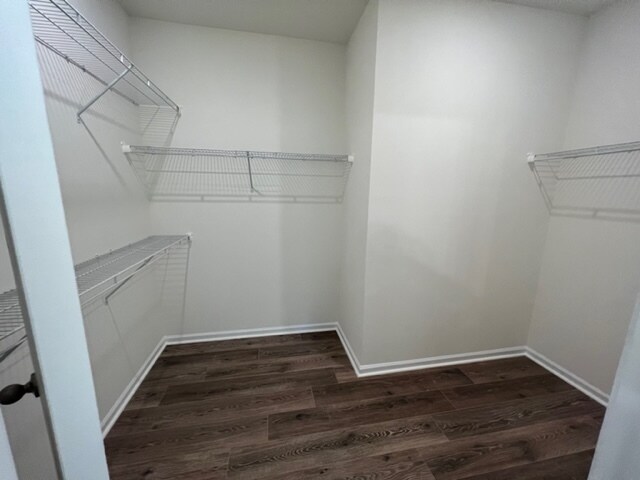 Building Photo - 25 Mainland Lakes Dr