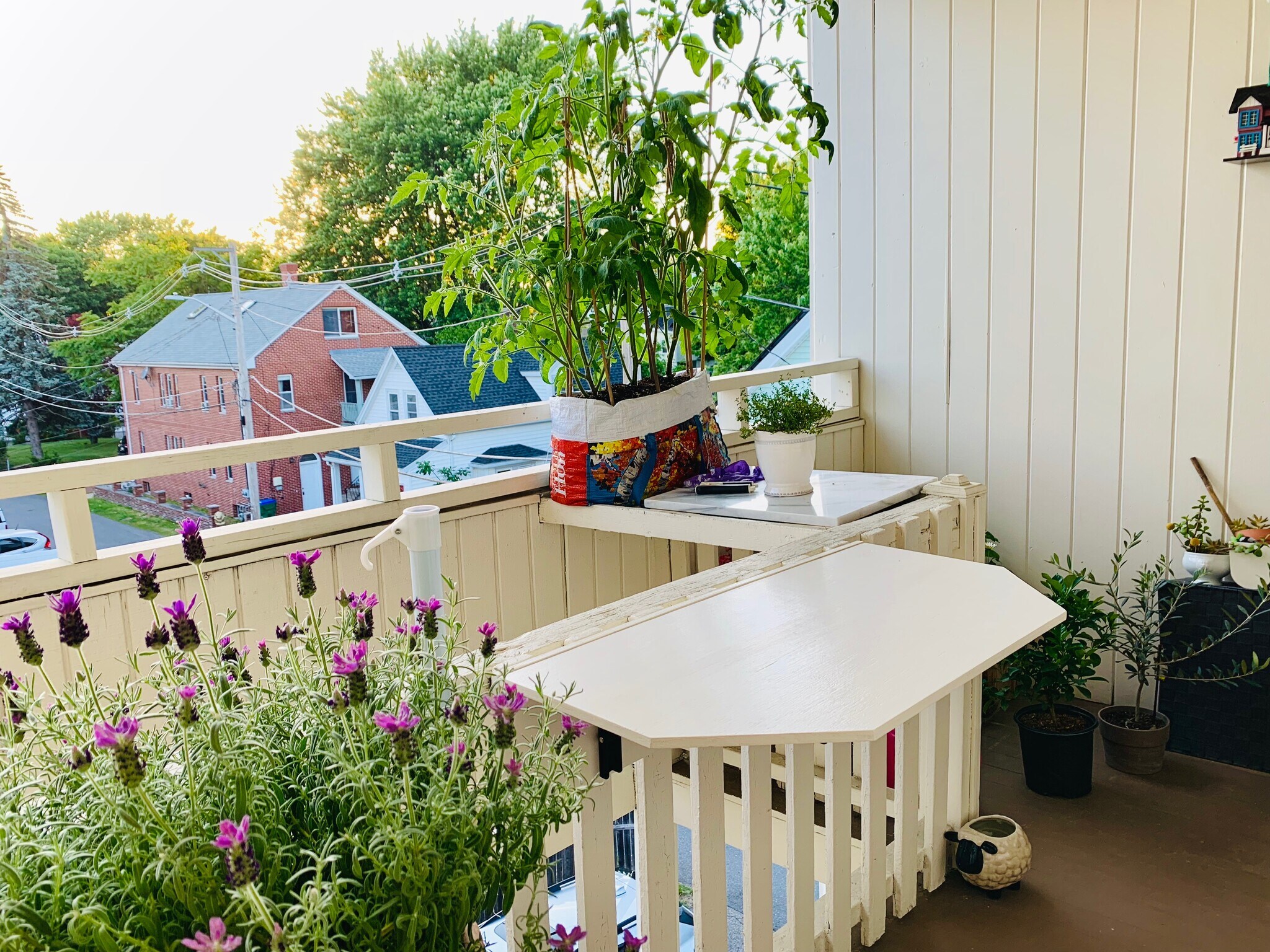 Back covered porch - 34 Almont St