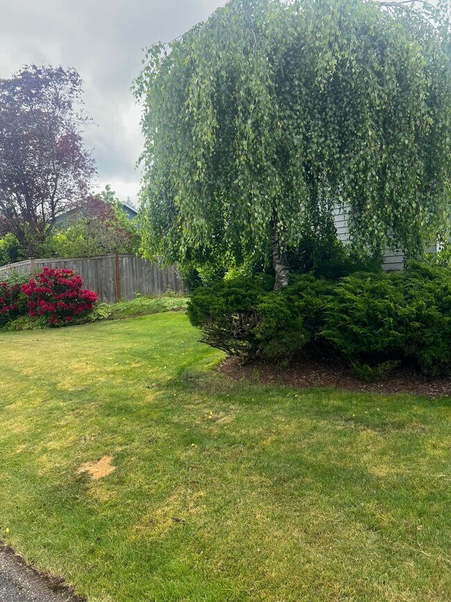 Building Photo - Corner lot home Maple Valley!