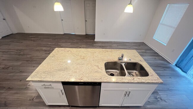 Building Photo - INCREDIBLE, BRAND NEW 4 Bedroom, 2 Bathroom Home in Palm Bay!!