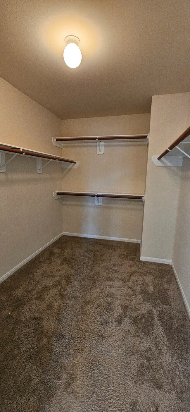 Building Photo - 2519 Pine Shadows Dr