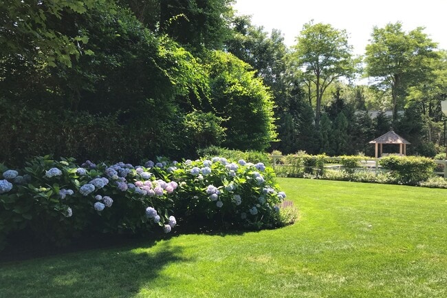 Building Photo - 51 Dumar Dr