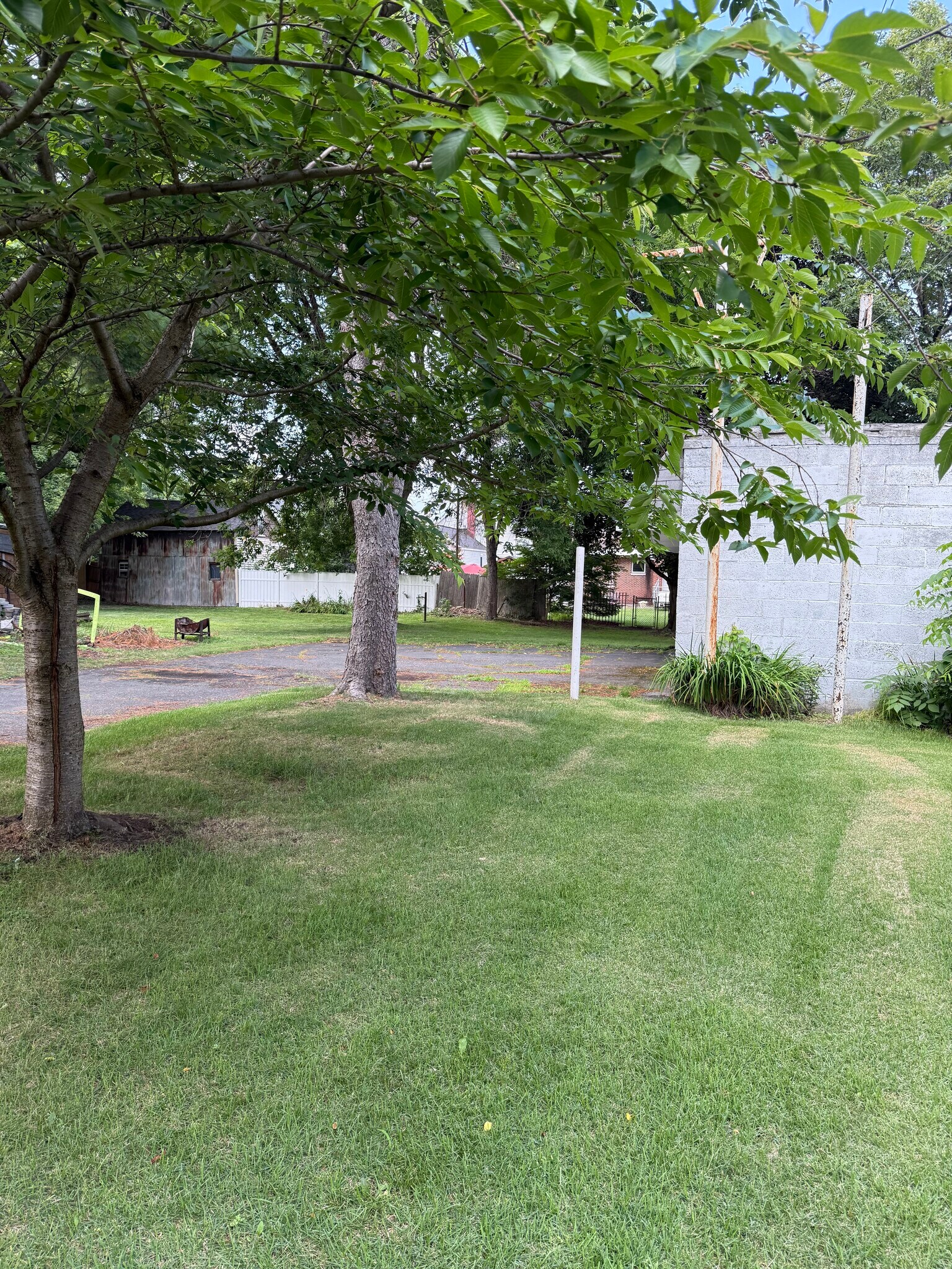 Backyard - 13 Alden St