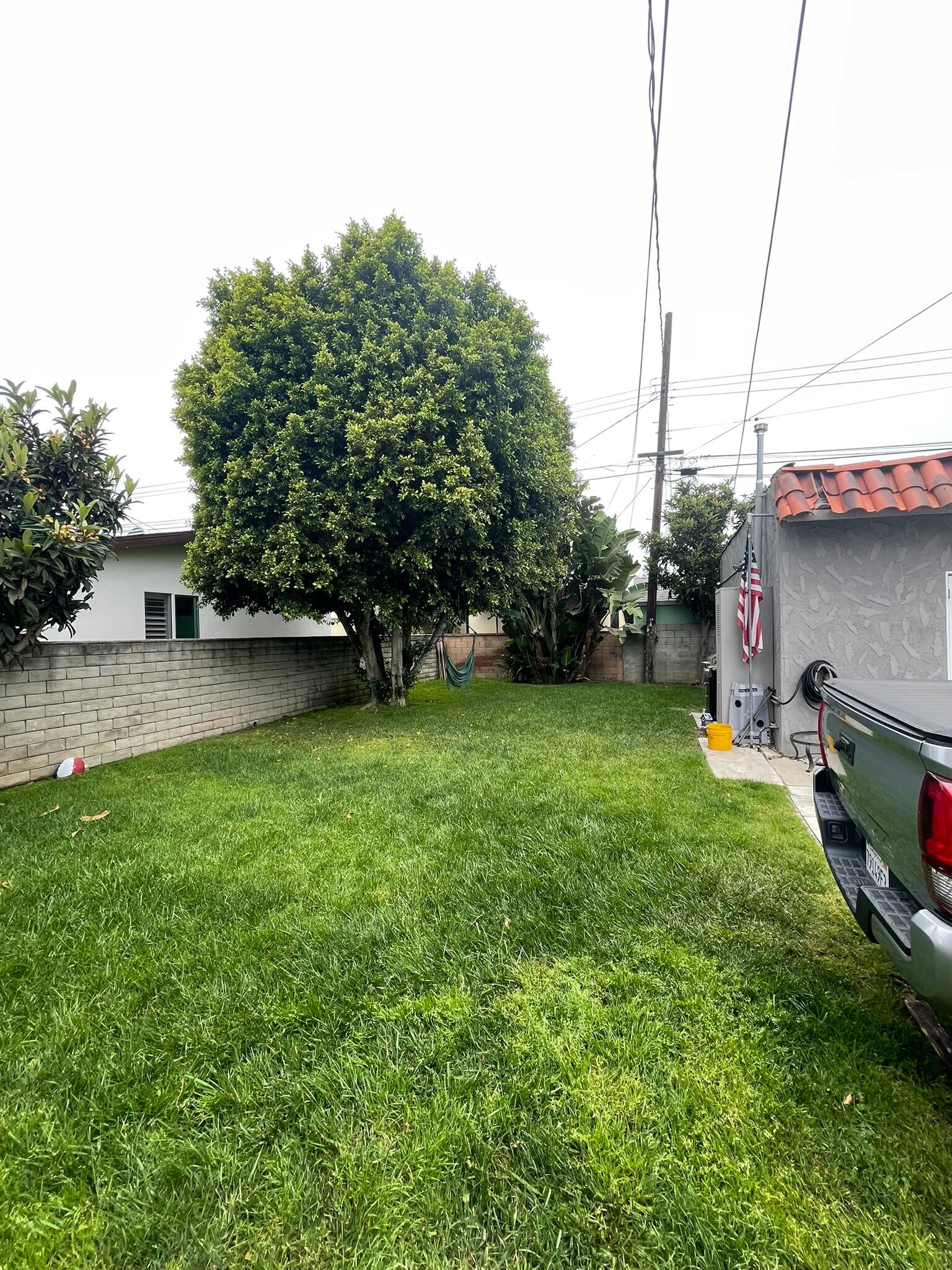 BACK YARD VIEW - 1307 W M St