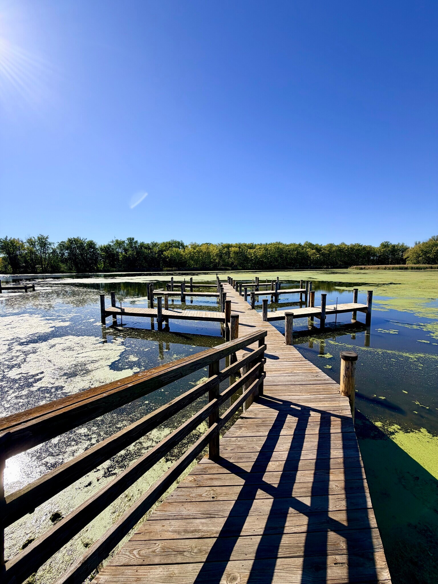 Building Photo - 413 Rowley St