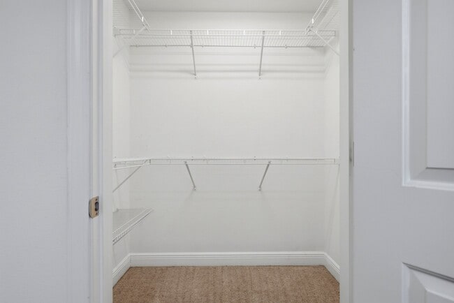 Building Photo - 5604 Shooting Star Ct