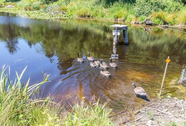 Building Photo - Lovely Storybook Home with a Lake View!