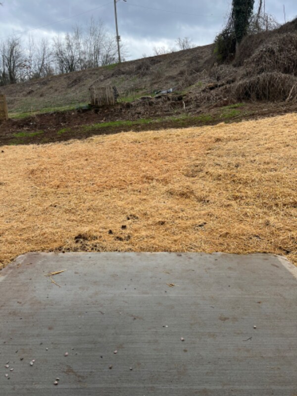 Building Photo - 1134 Simpson St