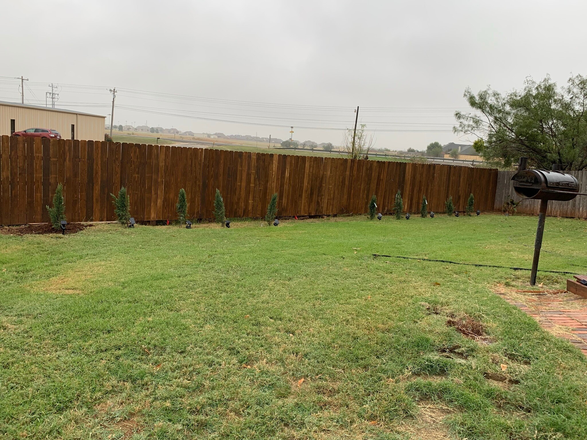 Back yard - 8009 Thompson Pky