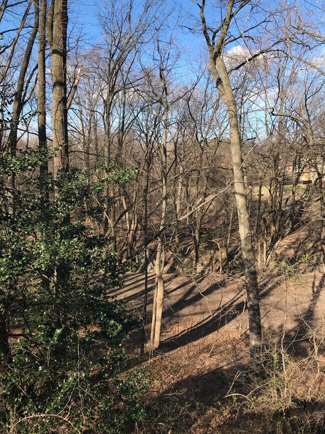 Deck View - 618 S Quincy St