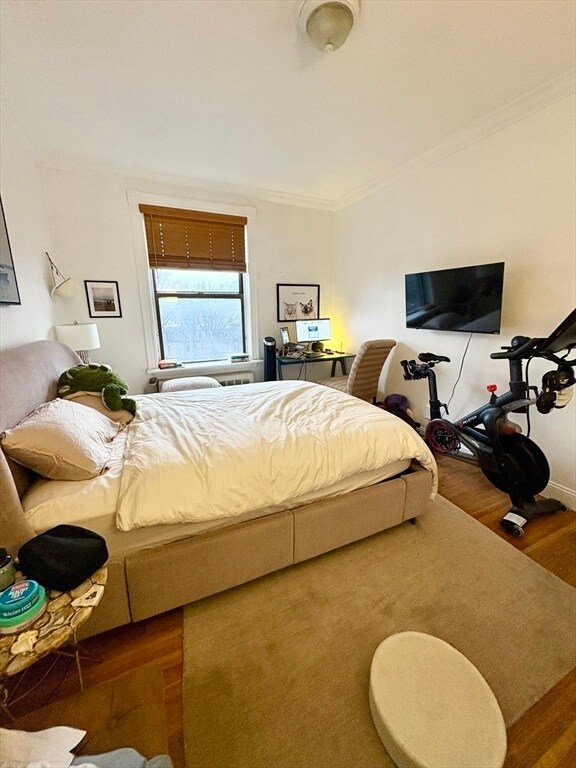 Building Photo - 384 Commonwealth Ave