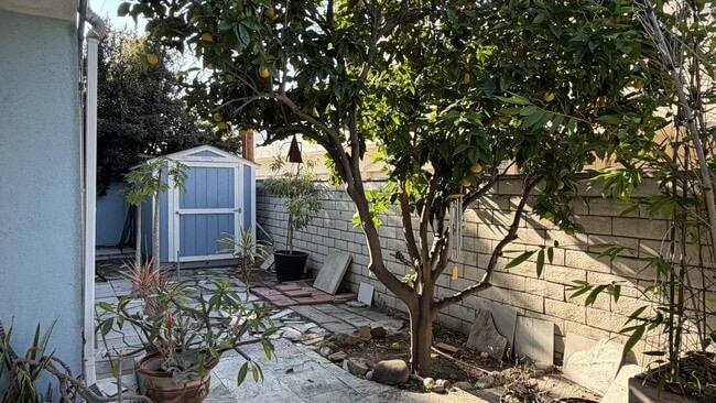 Building Photo - 257 Claremont Ave