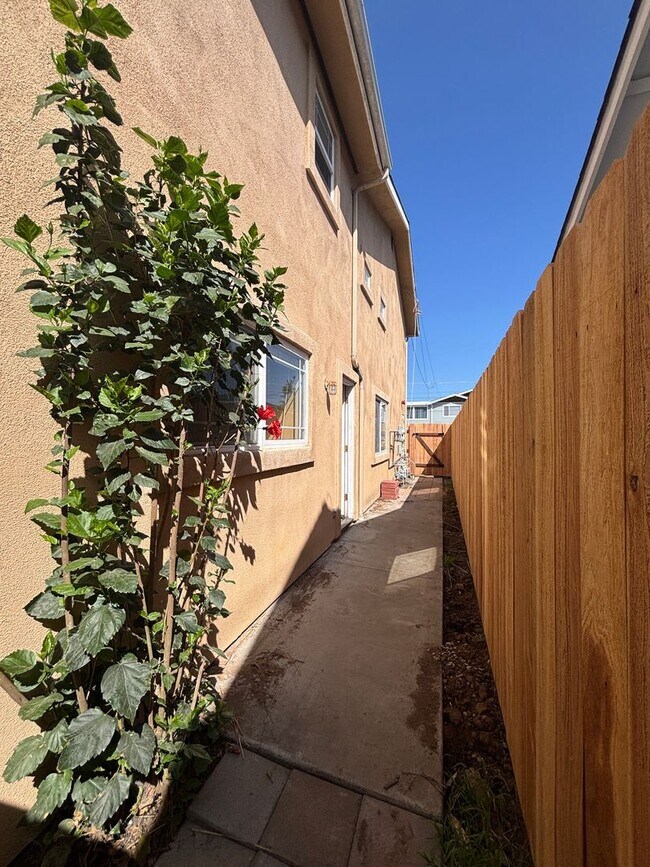 Building Photo - P32000