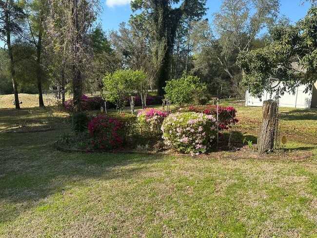 Building Photo - Beautiful 3/2/2 on 1/3 of an acre