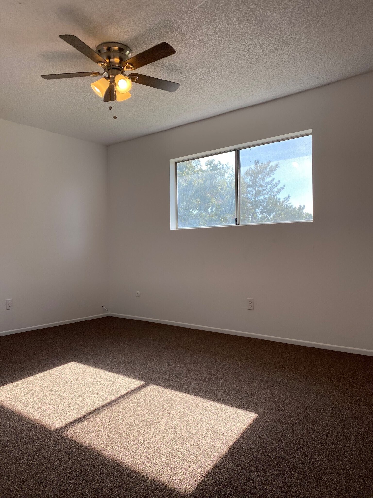 Building Photo - 4225 Parkwood Ct