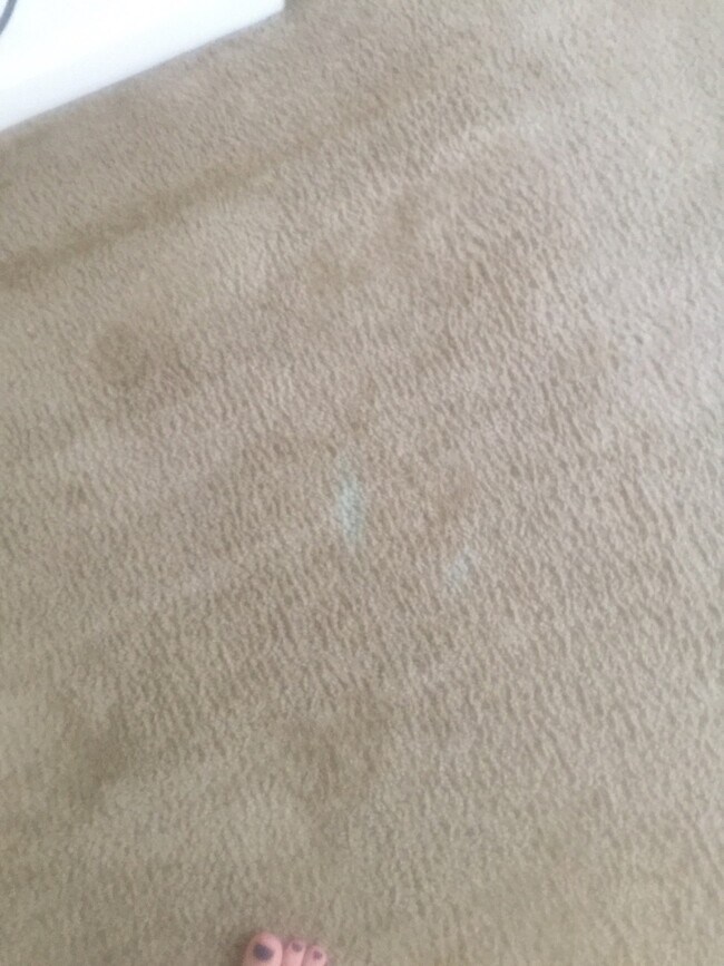 Building Photo - 3962 Blackberry Ave