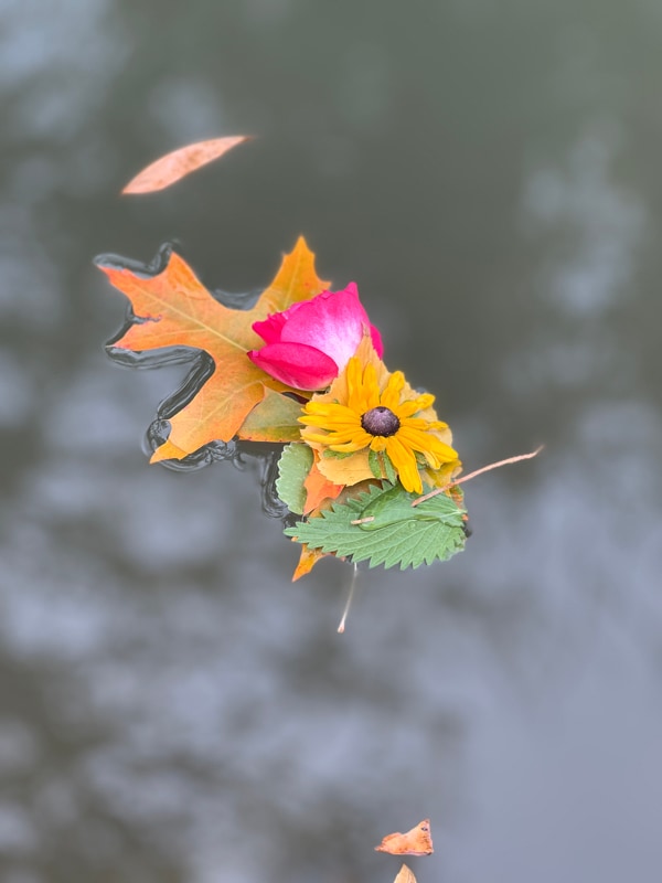 Building Photo - 2199 Westfield Ave