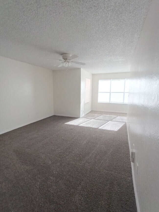 Building Photo - V1113