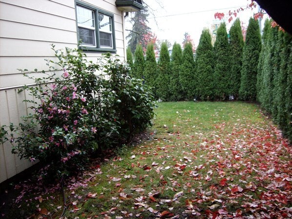 Building Photo - Well kept house near downtown Eugene with yard care included