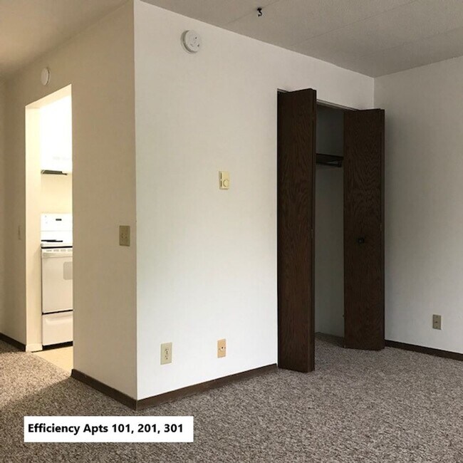 Building Photo - Studio Apartment on Main Street Downtown Madison