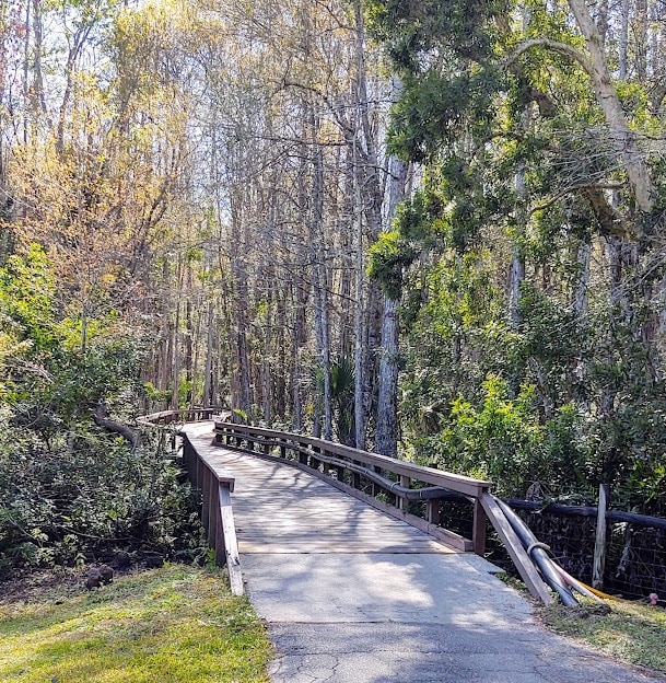 Building Photo - 12501 Cold Stream Dr
