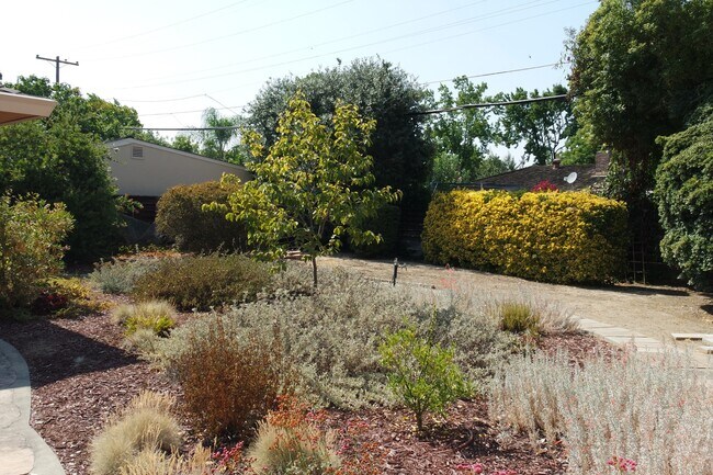 Building Photo - Willow Glen House with Spacious Yard